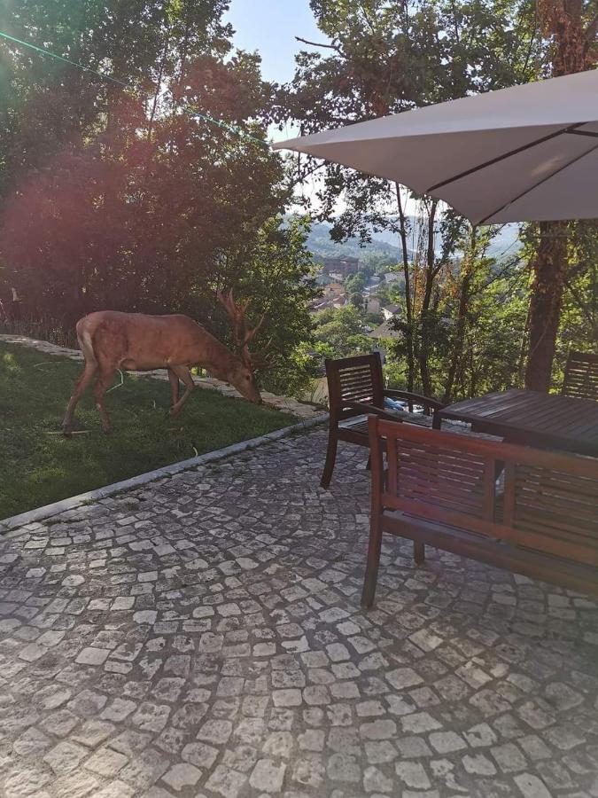 Casa Vacanze Al Castello Villetta Barrea Kültér fotó