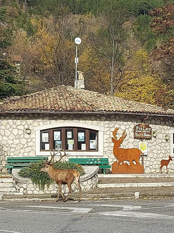 Casa Vacanze Al Castello Villetta Barrea Kültér fotó